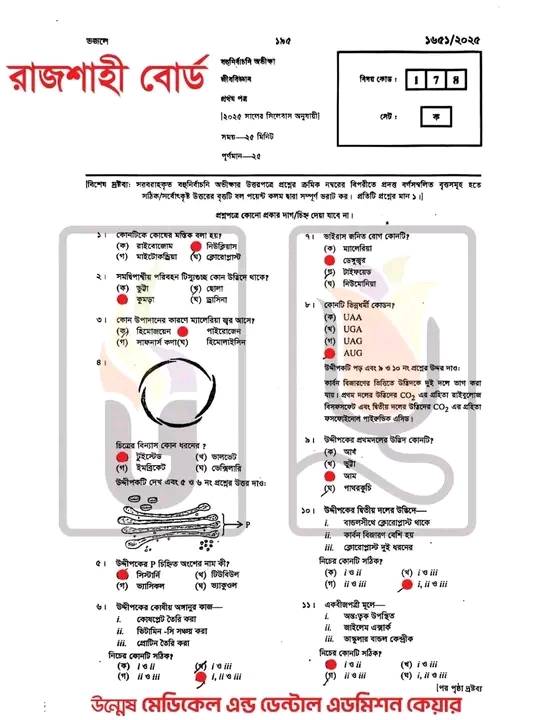 রাজশাহী বোর্ড HSC Biology MCQ সমাধান ২০২৫